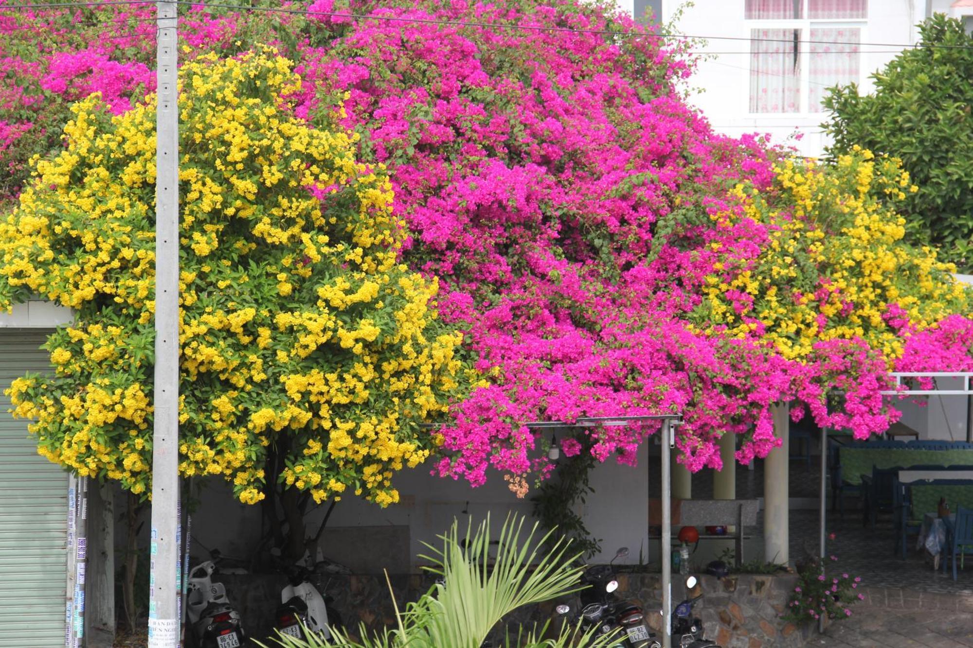 Dynasty Muine Resort Ap Thien Phuoc 외부 사진